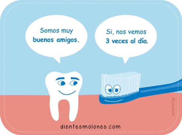 Los Dientes Y El Cepillo, Amigos Para Siempre - ESTUDIO DE DISEÑO ...