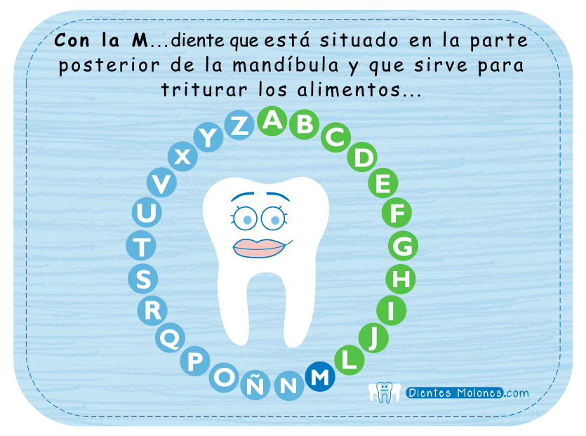 Dientes-pasapalabra-molar